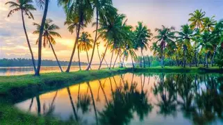 Kerala Package 4N & 5D